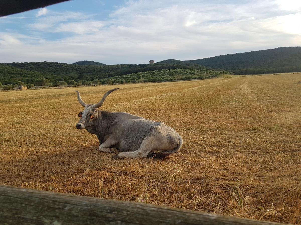 Tenuta Agricola Dell'Uccellina Magliano in Toscana Extérieur photo