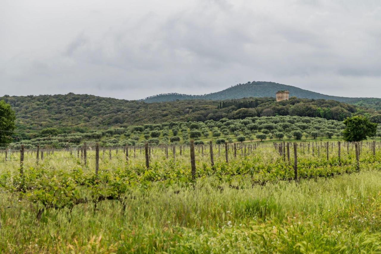 Tenuta Agricola Dell'Uccellina Magliano in Toscana Extérieur photo