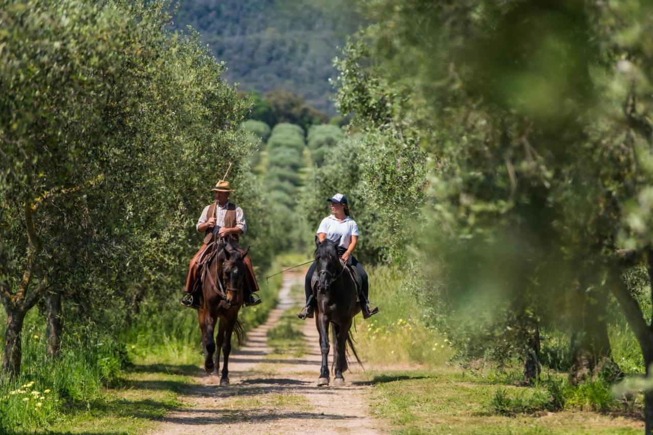 Tenuta Agricola Dell'Uccellina Magliano in Toscana Extérieur photo