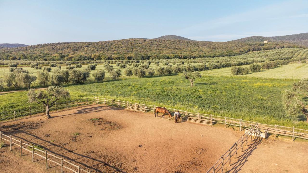 Tenuta Agricola Dell'Uccellina Magliano in Toscana Extérieur photo