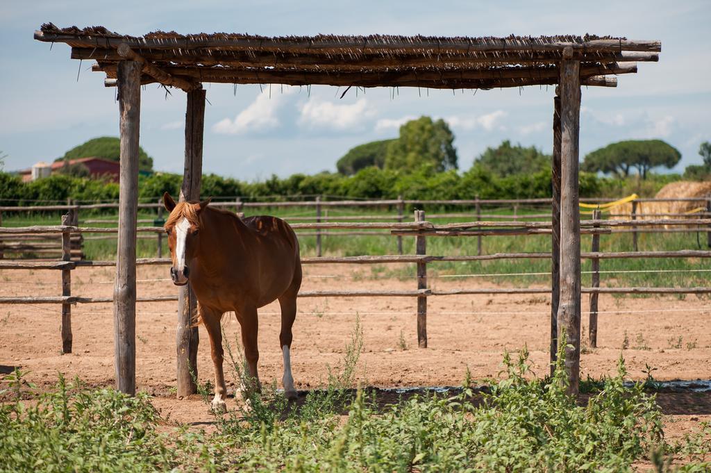 Tenuta Agricola Dell'Uccellina Magliano in Toscana Extérieur photo