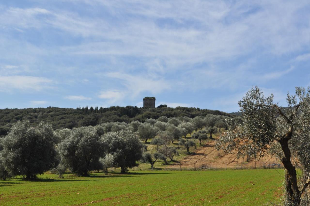 Tenuta Agricola Dell'Uccellina Magliano in Toscana Extérieur photo
